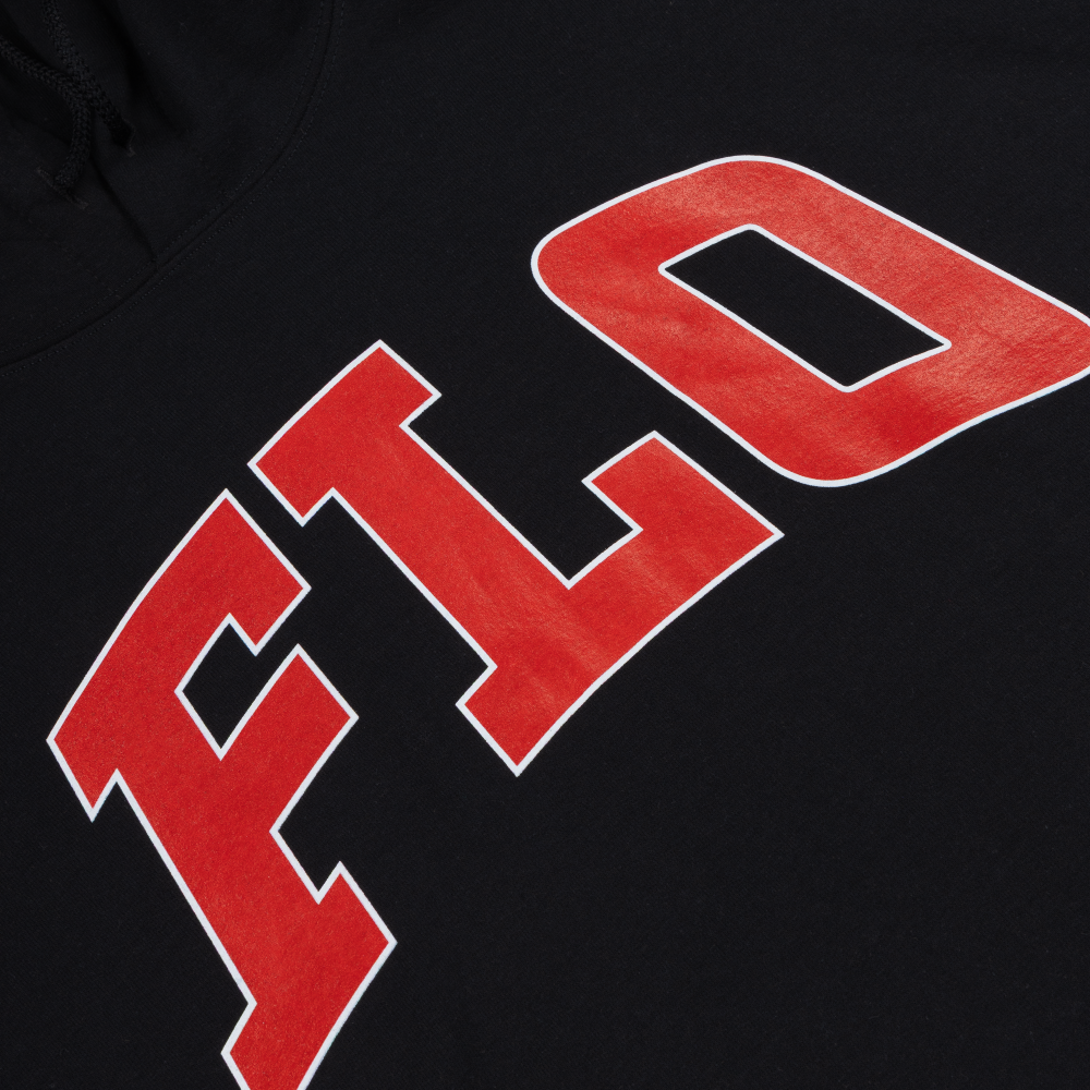 2025 Tour Hoodie Logo